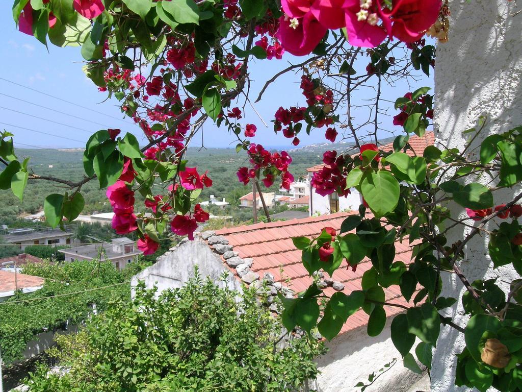 Fenareti Village House Μαχαιροί Εξωτερικό φωτογραφία